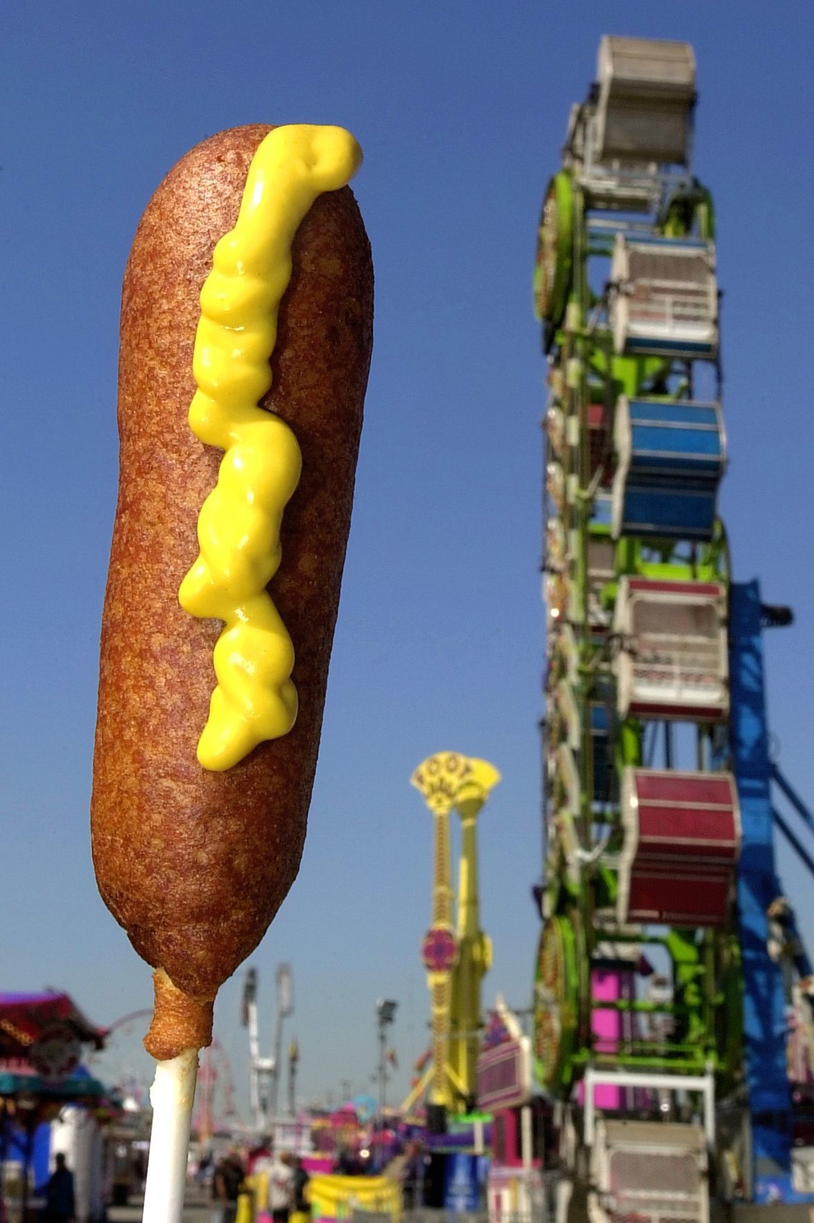 Fair food classic - CORN DOGS